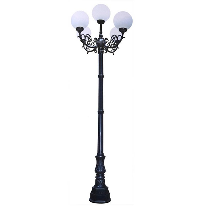 Sự Chăm Sóc Kỹ Lưỡng