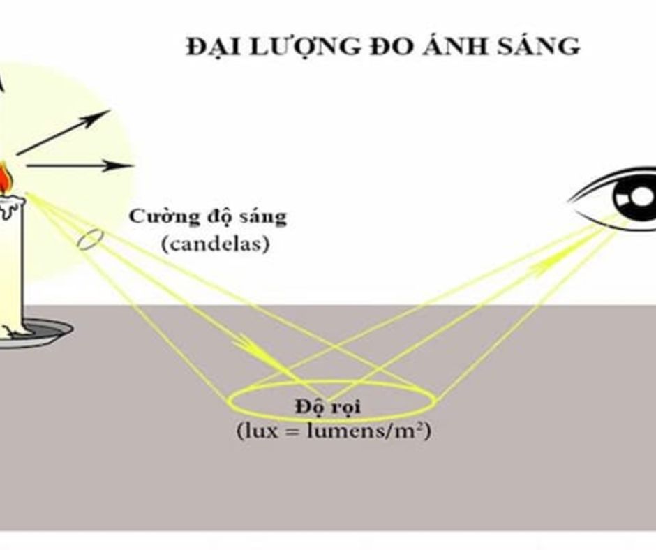 Tầm Quan Trọng Trong Chiếu Sáng Tầm Quan Trọng Trong Chiếu Sáng