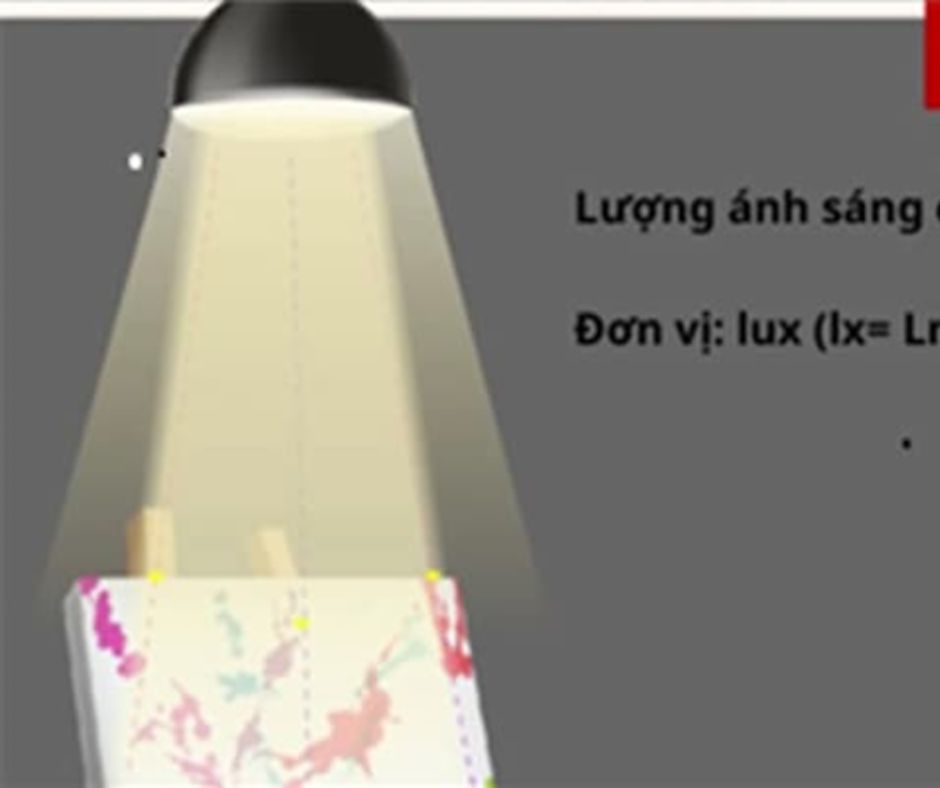 Ứng dụng của độ rọi lux trong các môi trường khác nhau Ứng dụng của độ rọi lux trong các môi trường khác nhau