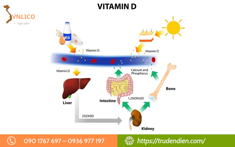 tac-dung-tich-cuc-cua-tia-uv